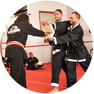 Chicago African Martial Arts Institute