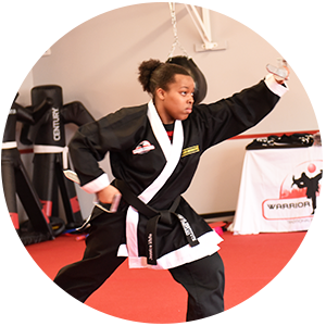 Martial Arts Warrior Institute of Chicago Adult Programs