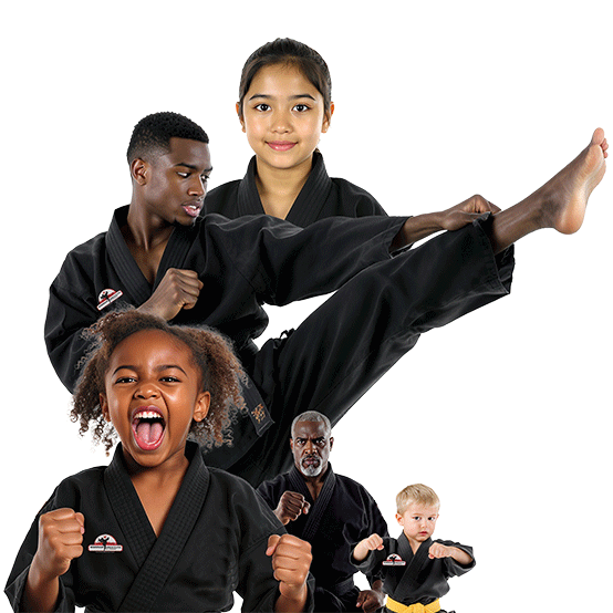 Warrior Institute of Chicago Chicago, Illinois